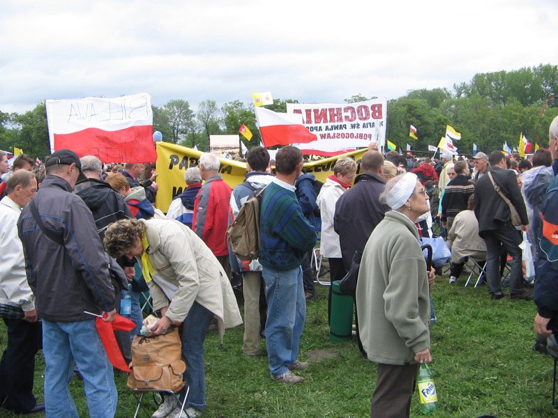 obraz084.jpg