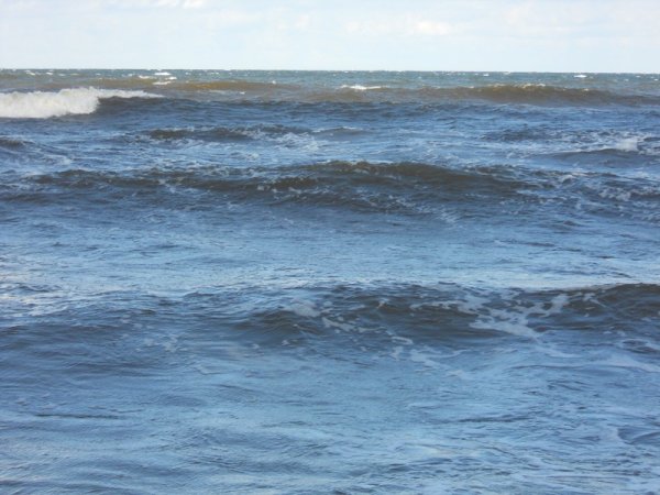 DSCN0195.jpg