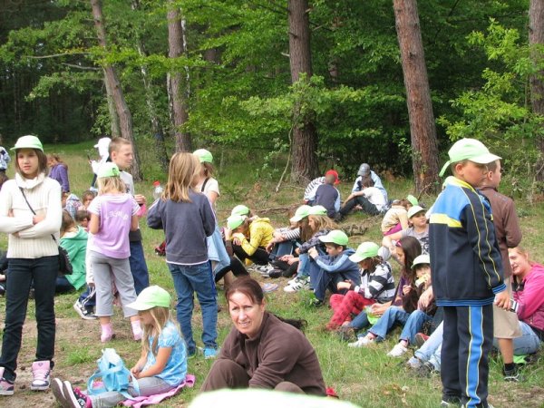 Obraz 231.jpg