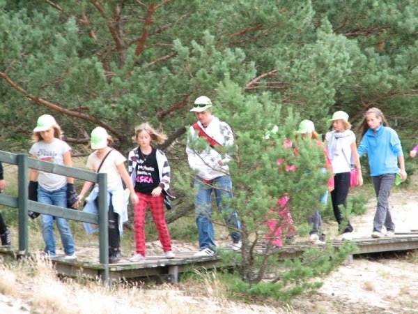 Obraz 245.jpg