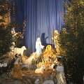IMG_0090