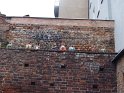 DSC01155
