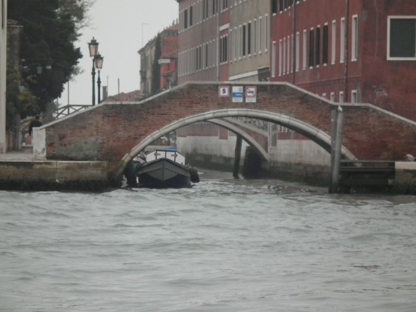 DSCF1655.jpg