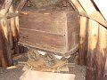 DSC02251